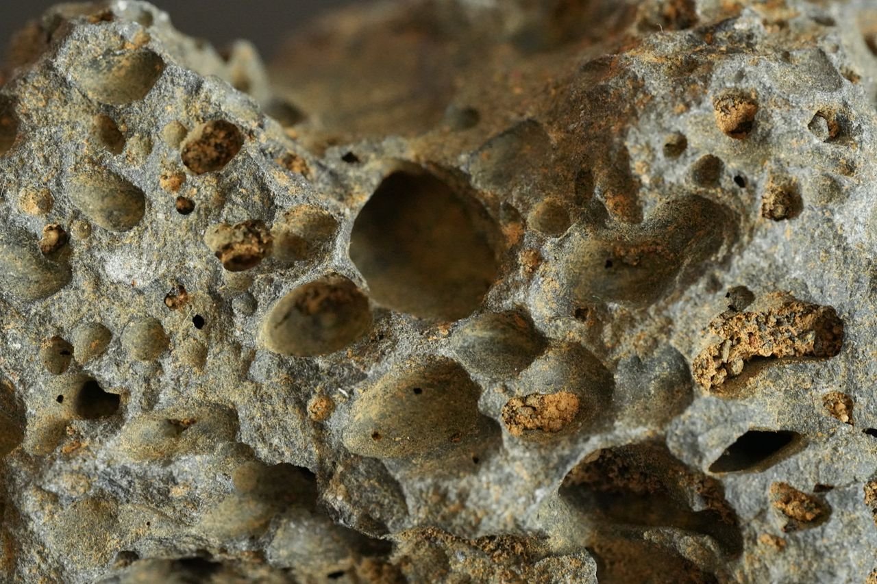 Detailed macro shot of a porous volcanic rock surface highlighting textures and patterns.