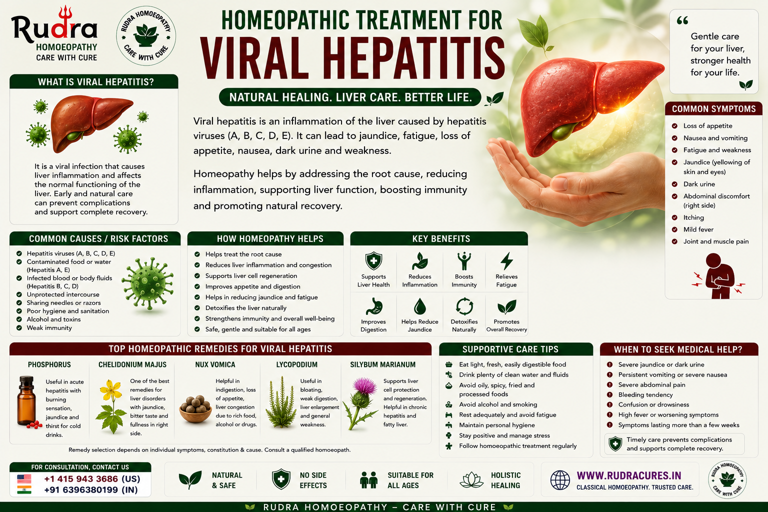 Homeopathic remedies for acute and chronic viral hepatitis, high bilirubin, elevated SGOT SGPT, liver enlargement, and hepatoprotection
