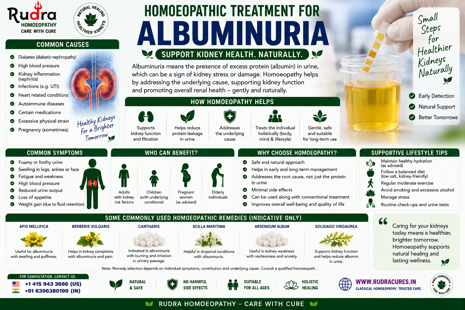 Homeopathic remedies for proteinuria, nephrotic syndrome, post-scarlatinal nephritis, apis mellifica, helonias, and serum albumin recovery