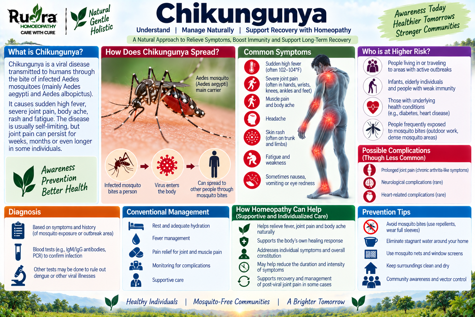 Homeopathic medicine for chikungunya showing viral fever care, arthralgia support, and natural immunological wellness
