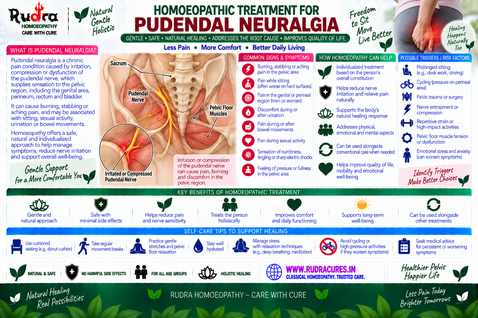 Homeopathic medicine for pudendal neuralgia showing pelvic nerve pain relief, perineal care, and natural nerve healing